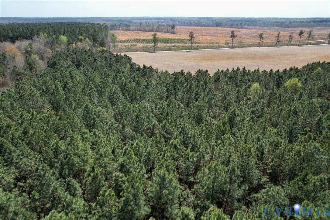 1201 Wills Road Blackstone, VA 23824 - Photo 21 of 29