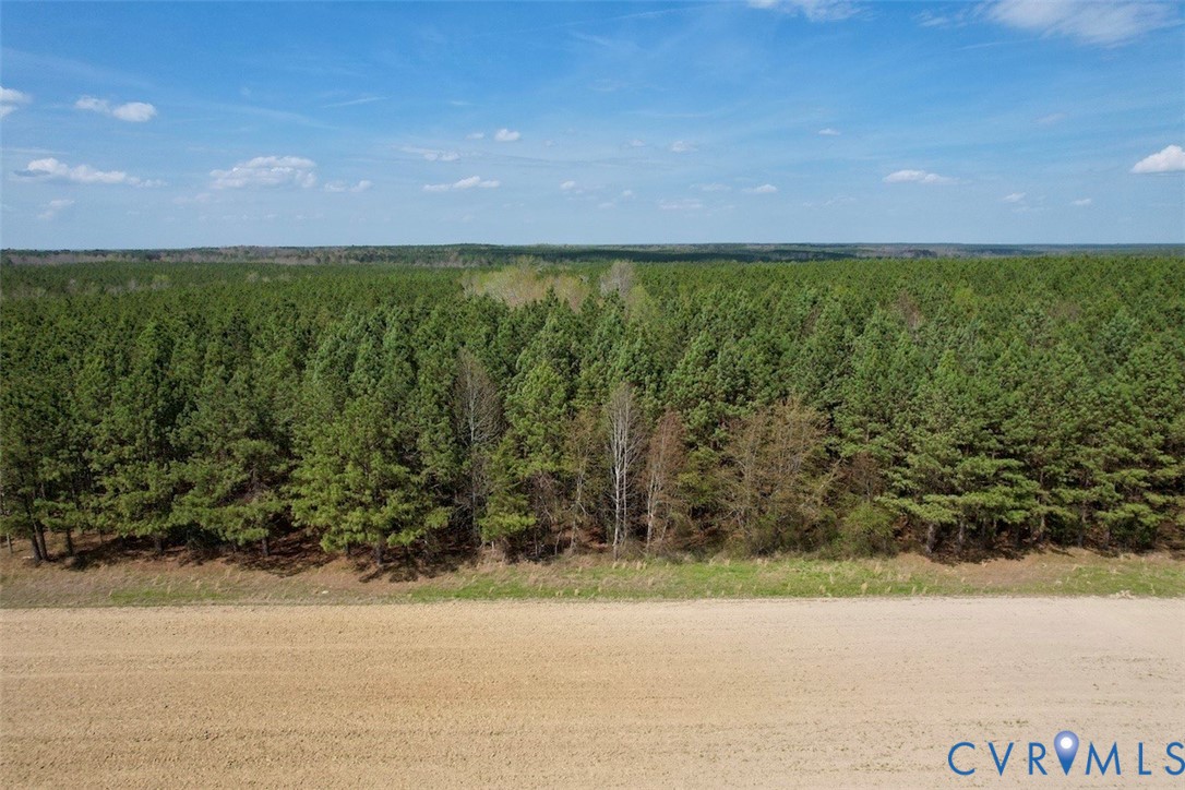 1201 Wills Road Blackstone, VA 23824 - Photo 22 of 29