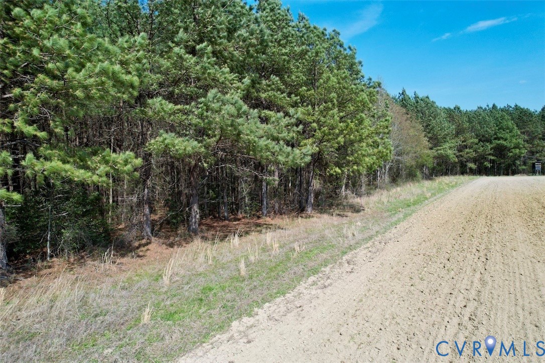 1201 Wills Road Blackstone, VA 23824 - Photo 25 of 29