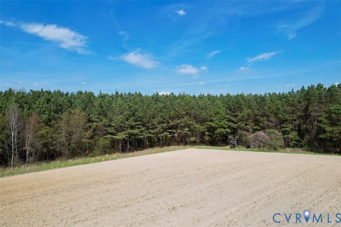 1201 Wills Road Blackstone, VA 23824 - Photo 26 of 29