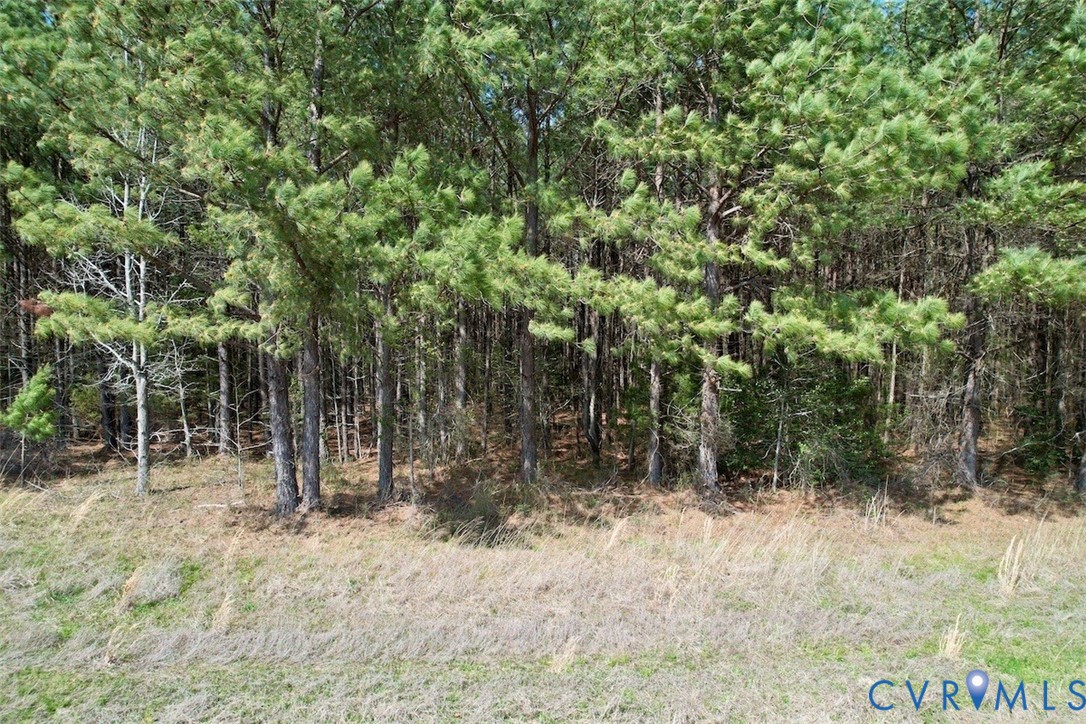 1201 Wills Road Blackstone, VA 23824 - Photo 27 of 29