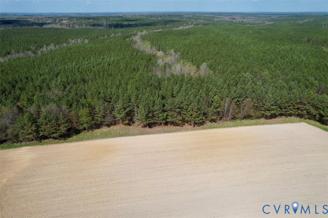 1201 Wills Road Blackstone, VA 23824 - Photo 5 of 29