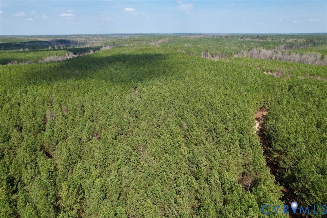 1201 Wills Road Blackstone, VA 23824 - Photo 6 of 29