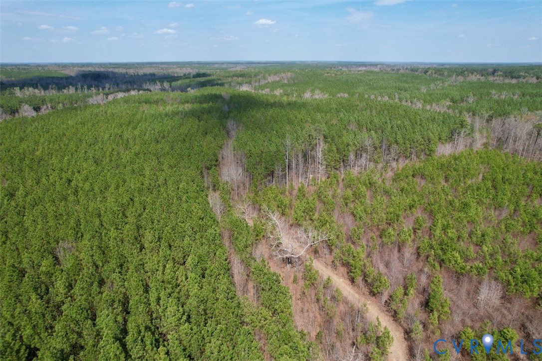 1201 Wills Road Blackstone, VA 23824 - Photo 7 of 29