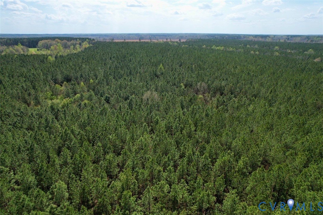 1201 Wills Road Blackstone, VA 23824 - Photo 9 of 29