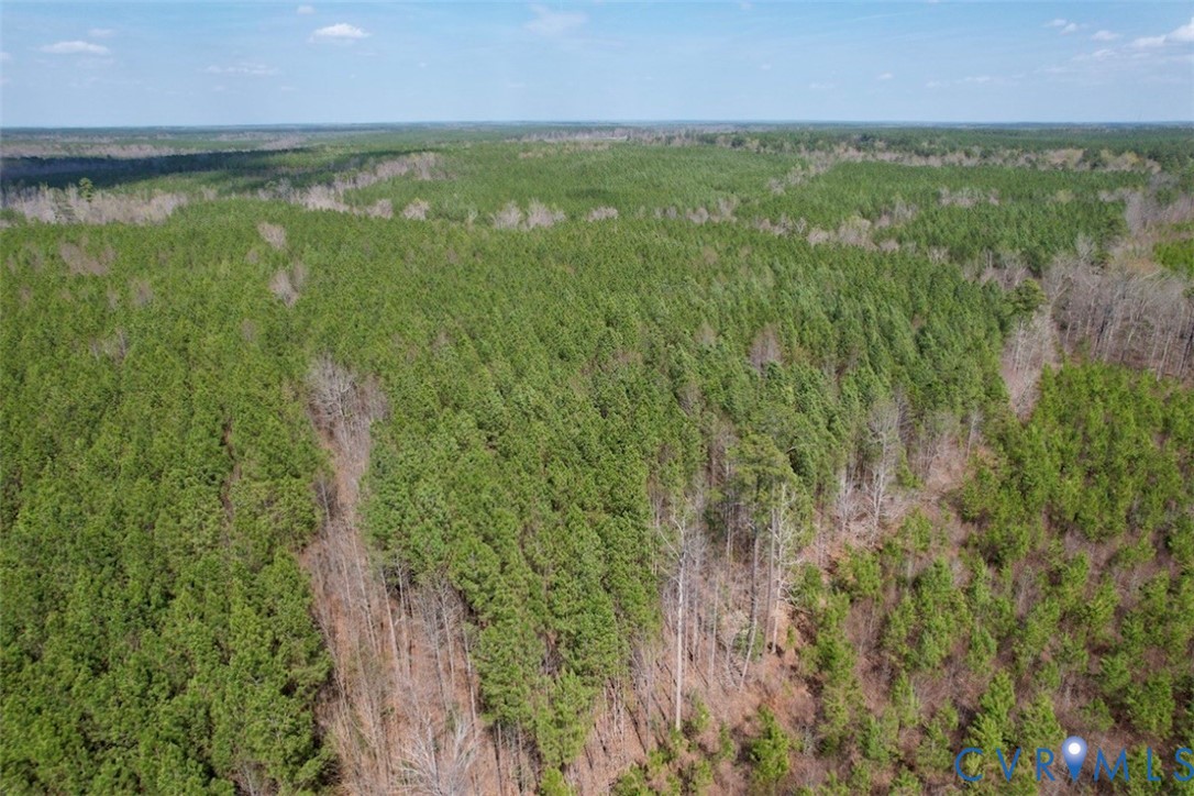 1201 Wills Road Blackstone, VA 23824 - Photo 10 of 29