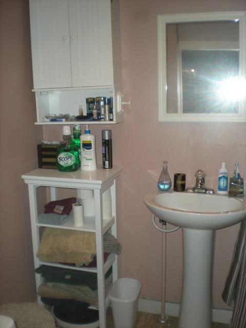 1049 Shady Run Road Vinton, VA 24179 - Photo 17 of 21 private master bath