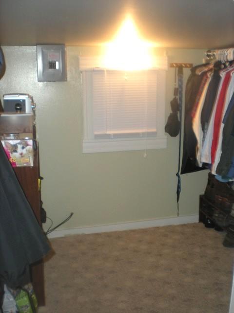 1049 Shady Run Road Vinton, VA 24179 - Photo 18 of 21 walk in closet off master