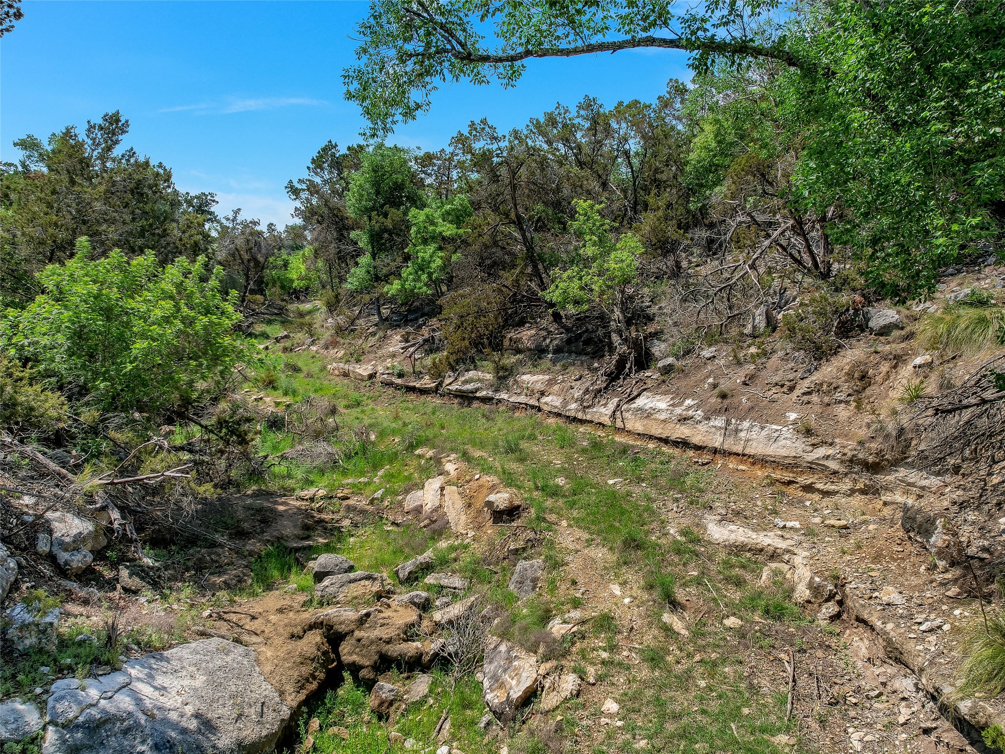 29911 Ranch Road 12 Dripping Springs, TX 78620 - Photo 13 of 15 View of local wilderness