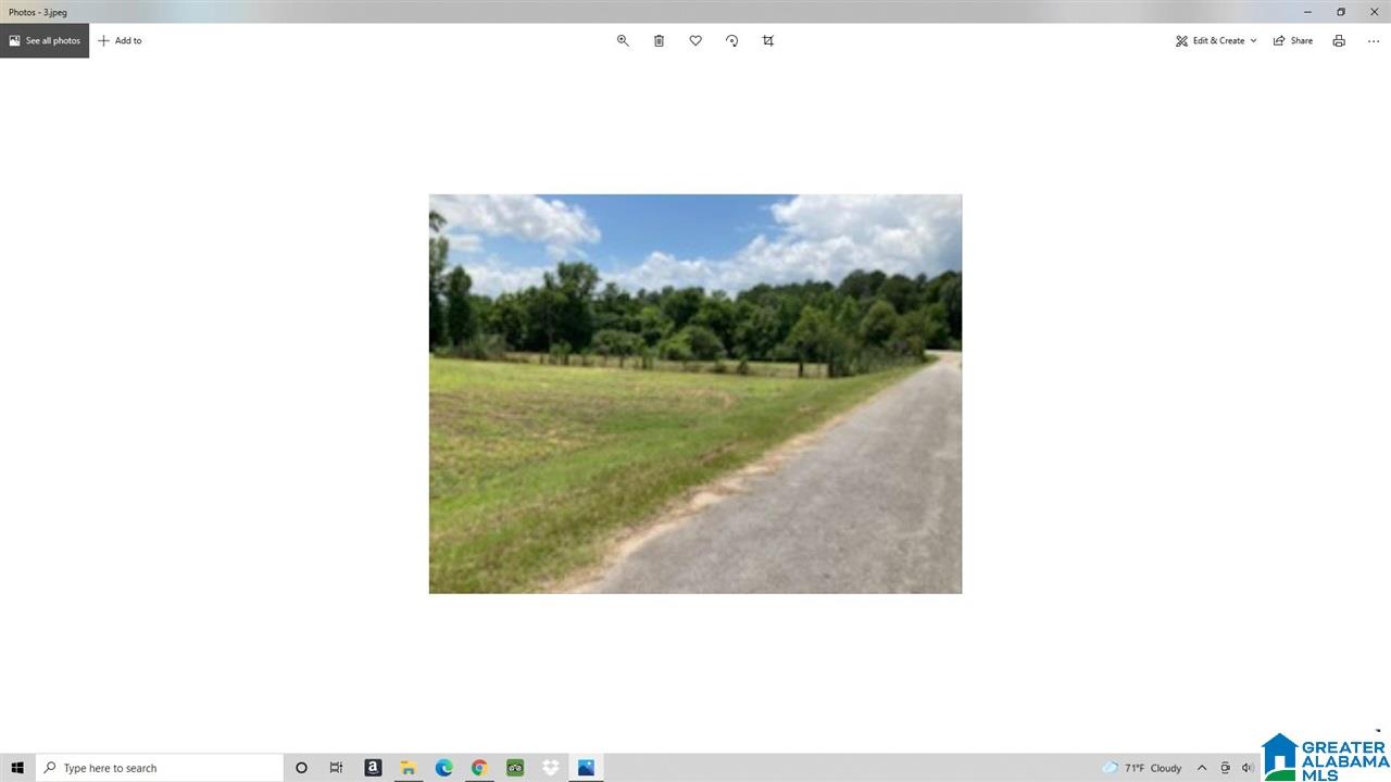 0 Bear Creek Road Brent, AL 35034 - Photo 1 of 1