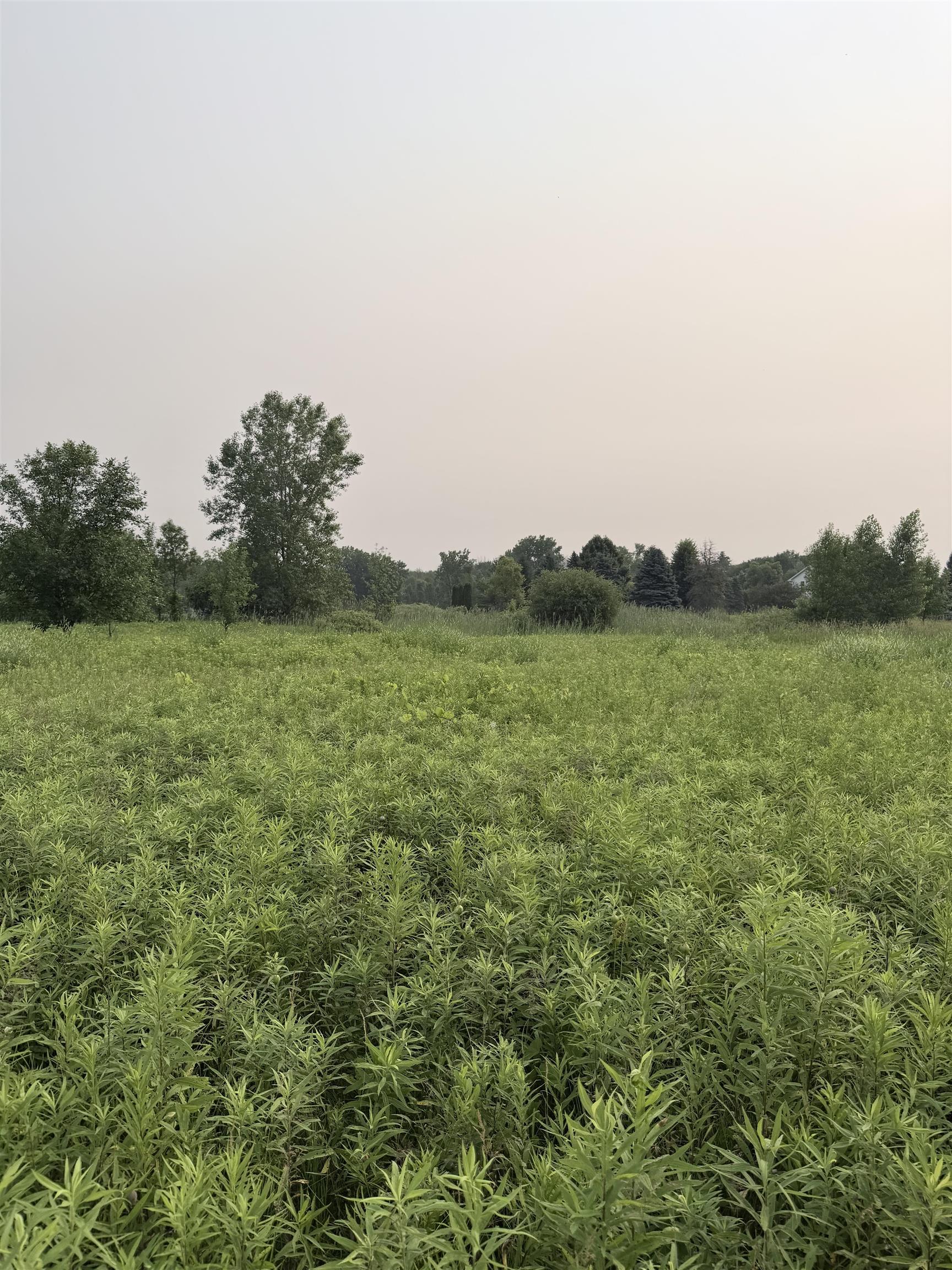 Foxwoods Lane Abrams, WI 54101 - Photo 1 of 5