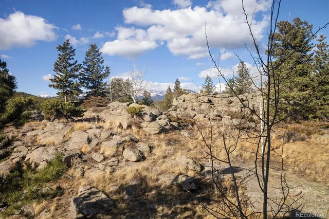a view of a dry yard with lots of green space