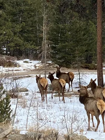 $910,000 | 198 Frontier Lane, Nederland, CO 80466