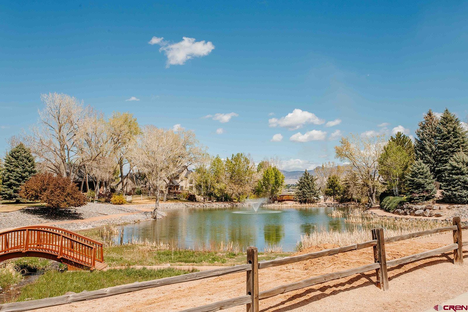 4041 Pioneer Road Montrose, CO 81403 - Photo 36 of 43 a view of a lake with a yard and a large tree