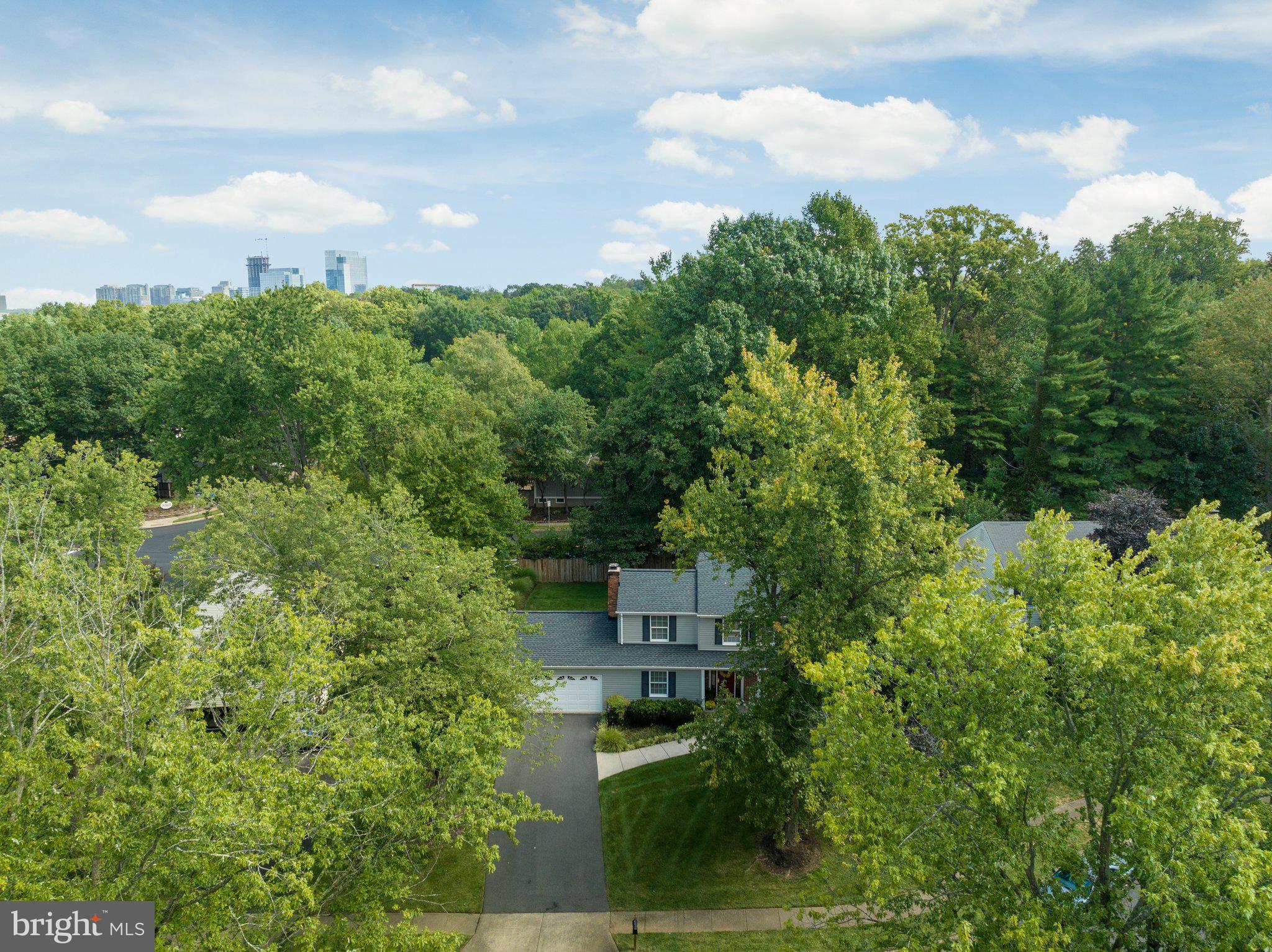 12256 Angel Wing Court Reston, VA 20191 - Photo 42 of 49 Gallery Image 42