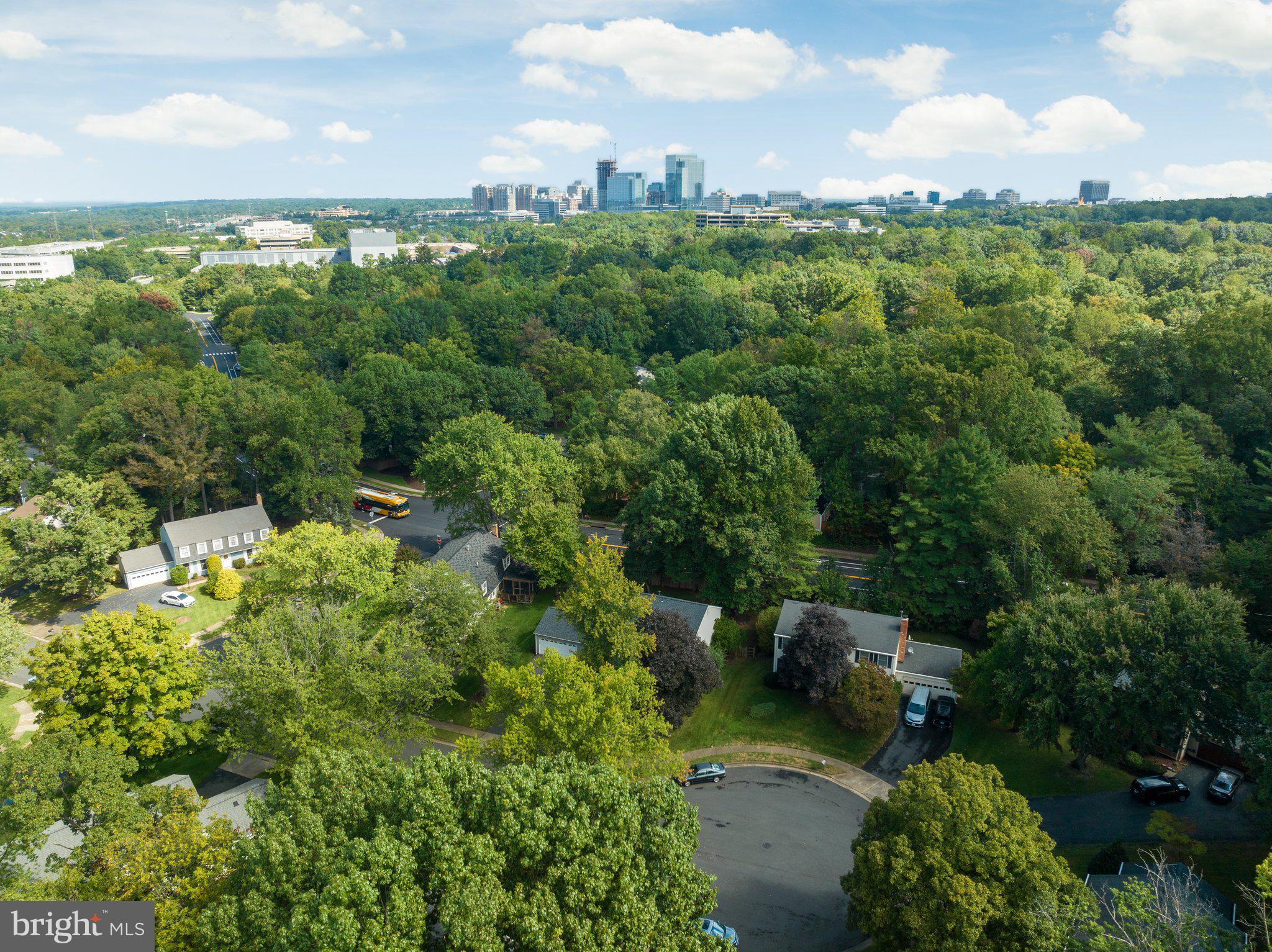 12256 Angel Wing Court Reston, VA 20191 - Photo 43 of 49 Gallery Image 43