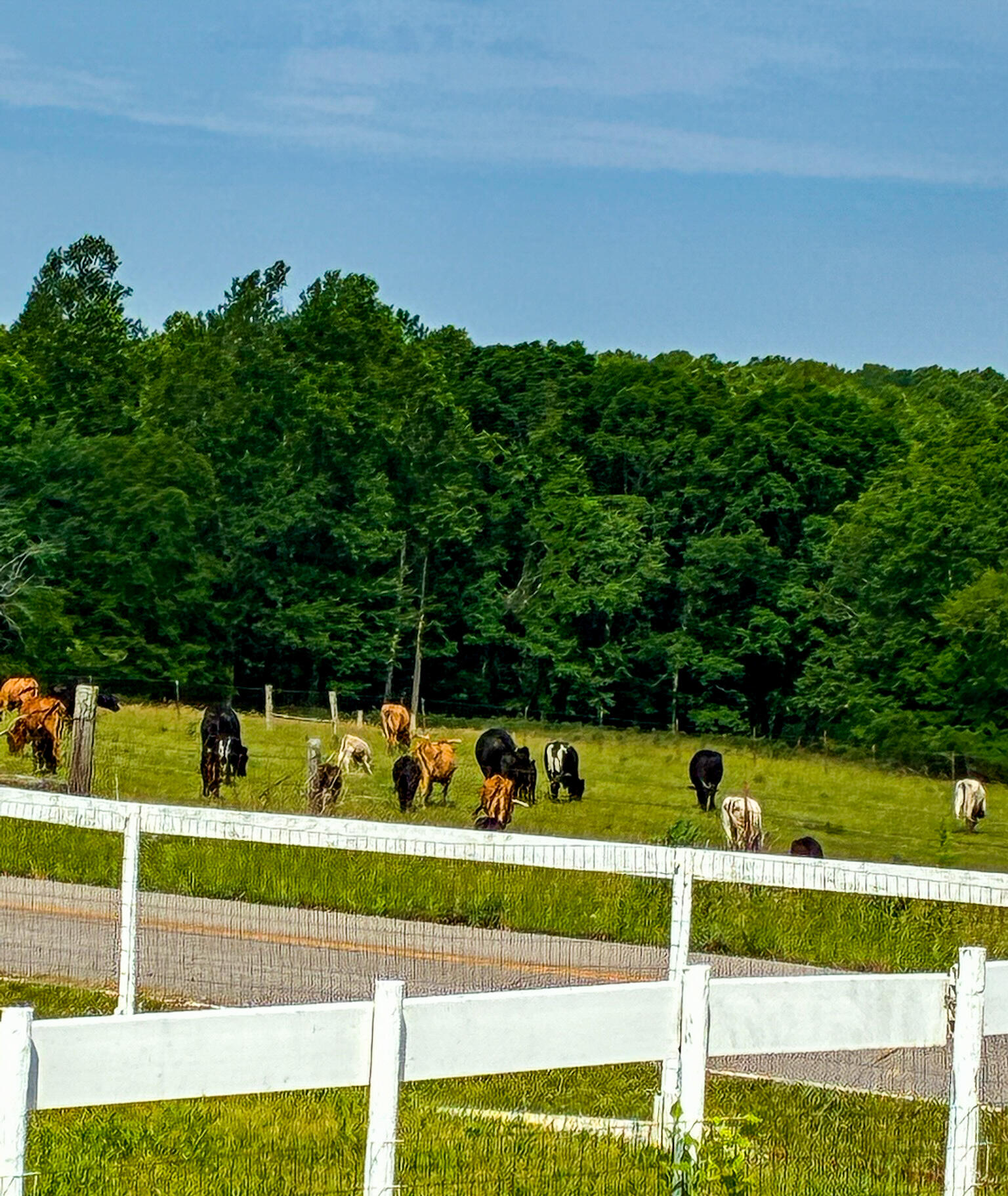 2224 Gap Road Altamont, TN 37301 - Photo 21 of 22 IMG_4107