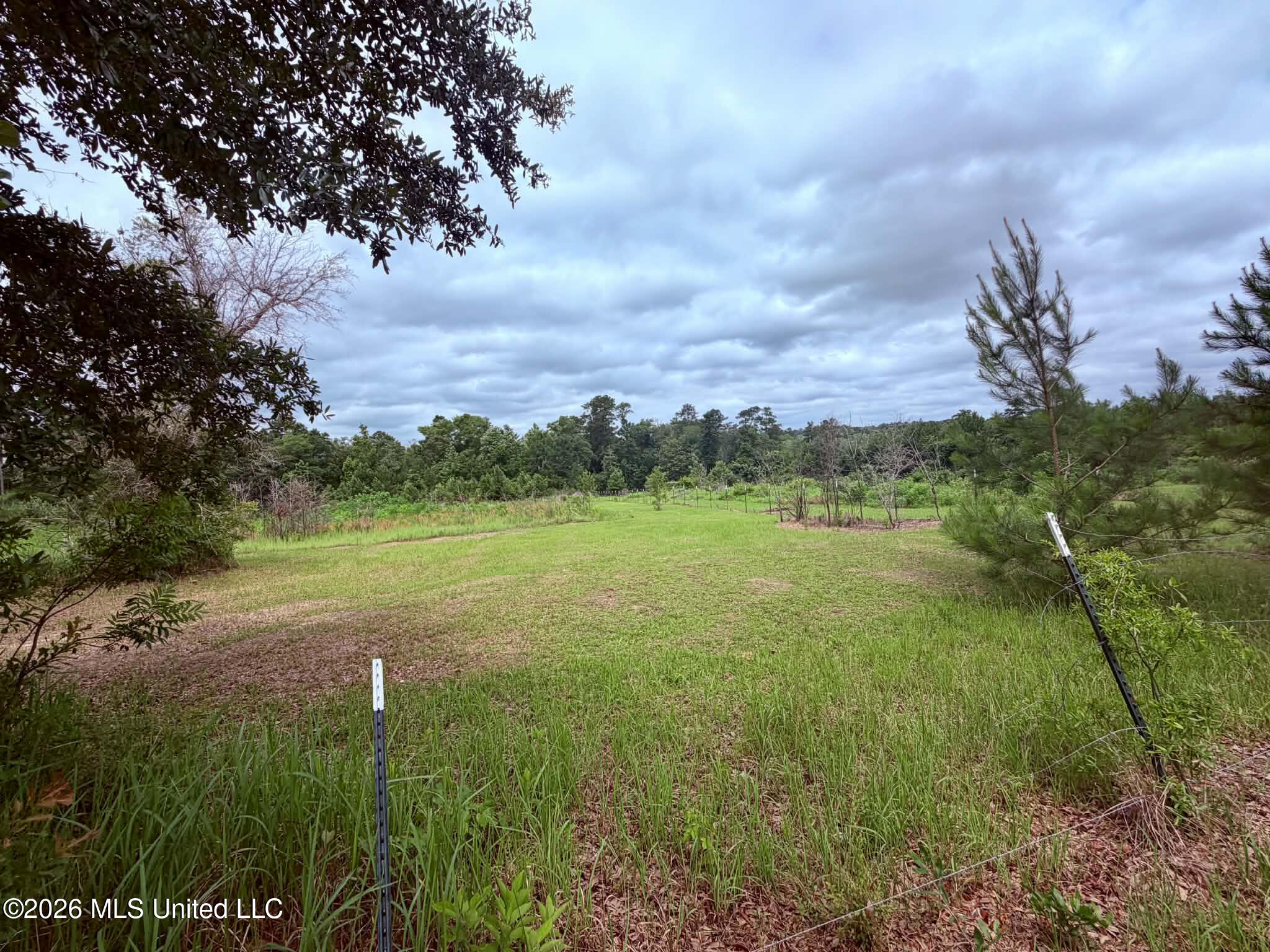 1882 McInnis Vernal Road Lucedale, MS 39452 - Photo 11 of 20 9447e101-9913-49e7-9ba7-44a7f7b28220