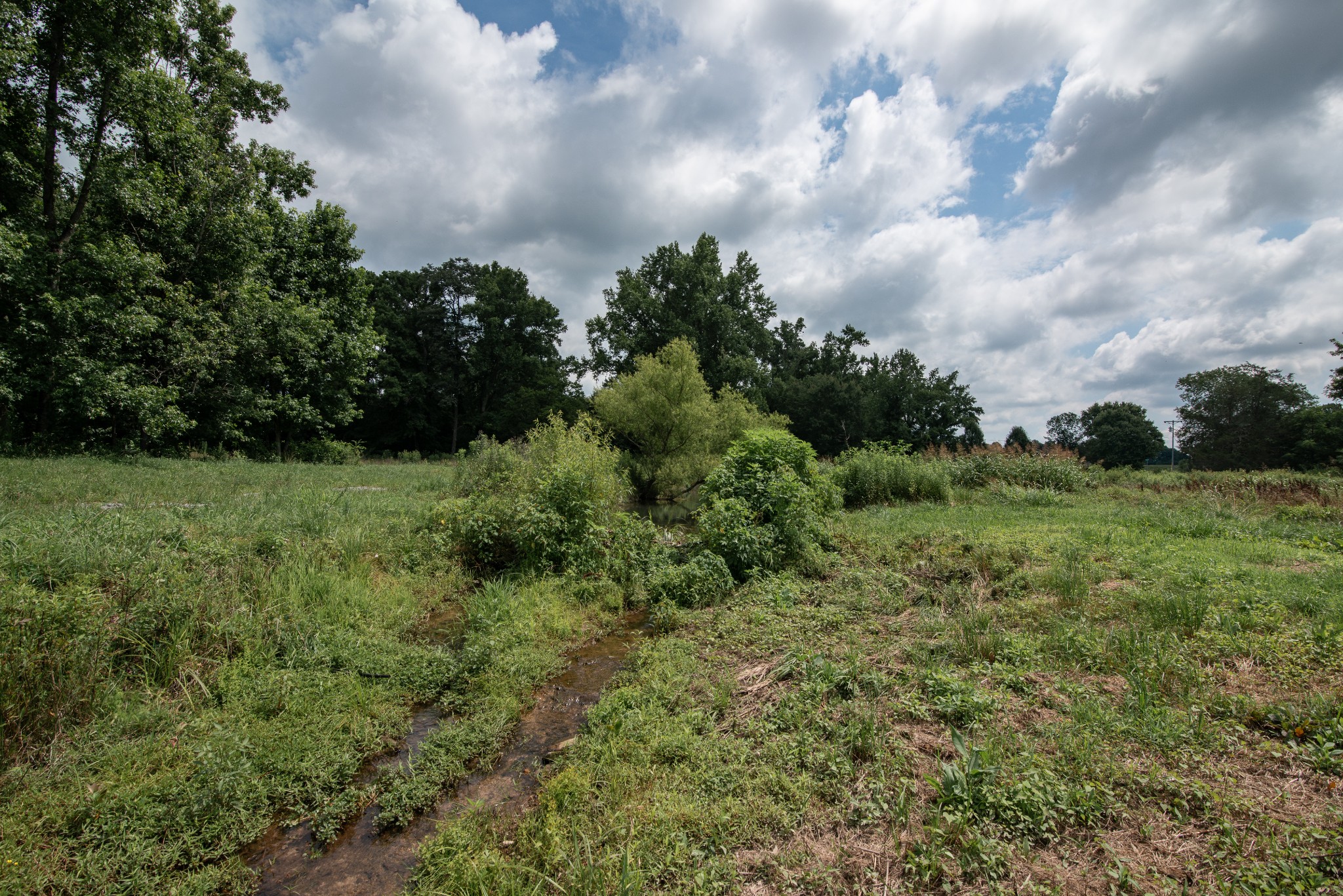 169 Pendergrass Road Flintville, TN 37335 - Photo 16 of 16