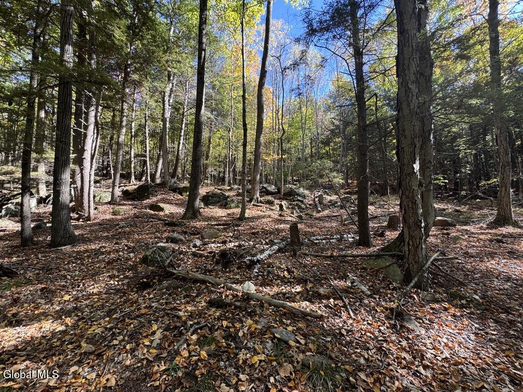 40 Constitution Way Kattskill Bay, NY 12844 - Photo 13 of 21 849B86E9-B293-4480-B94F-739CBF8FF62A_1_1