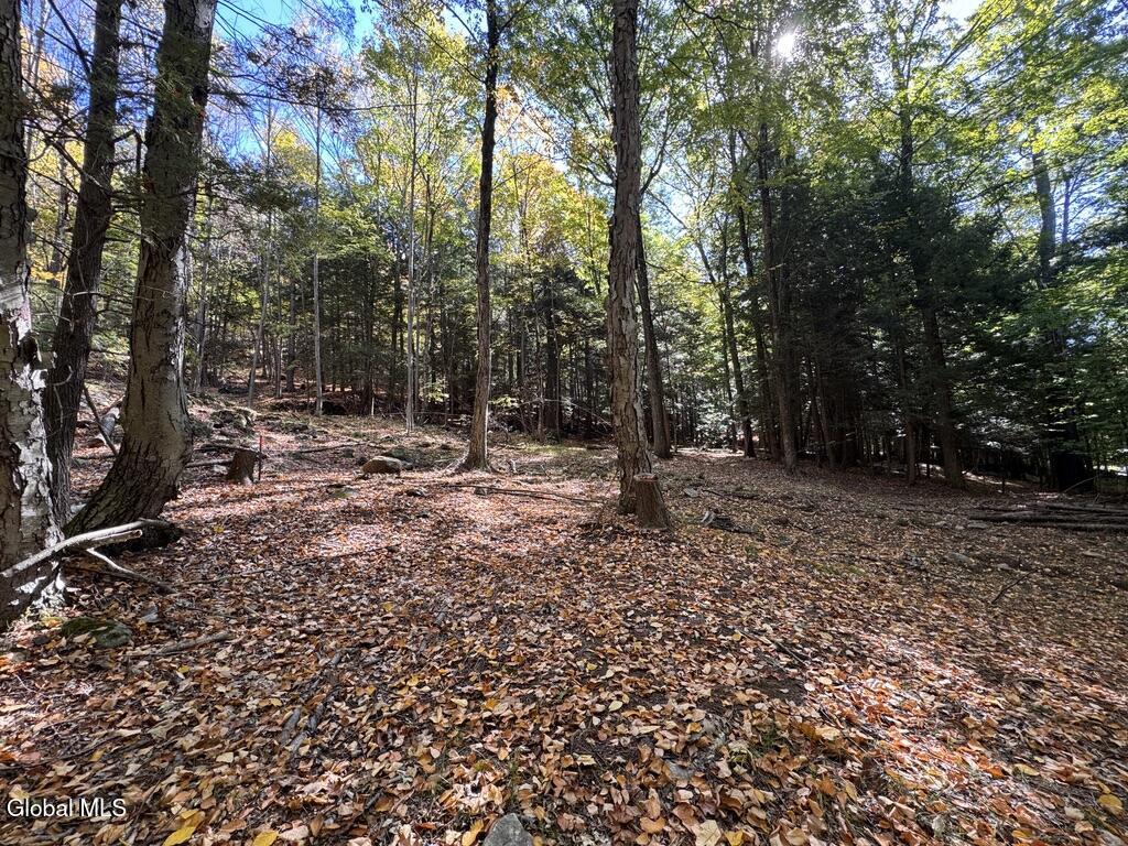 40 Constitution Way Kattskill Bay, NY 12844 - Photo 14 of 21 2EDC8955-65B1-413B-9983-391AD9A945EB_1_1