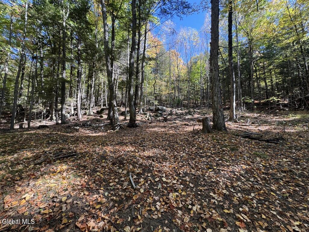 40 Constitution Way Kattskill Bay, NY 12844 - Photo 15 of 21 D98AAB87-0623-4758-8021-6A42DD0D4466_1_1