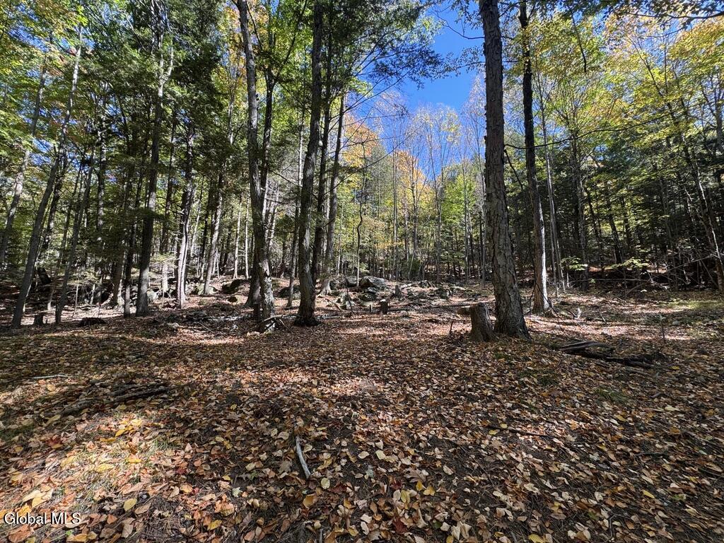 40 Constitution Way Kattskill Bay, NY 12844 - Photo 16 of 21 7D0228ED-7FC9-4CB8-ACD0-9C80FA69522C_1_1