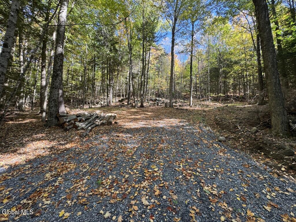 40 Constitution Way Kattskill Bay, NY 12844 - Photo 17 of 21 3753858D-76B9-48AA-B355-4C40AA60B78D_1_1