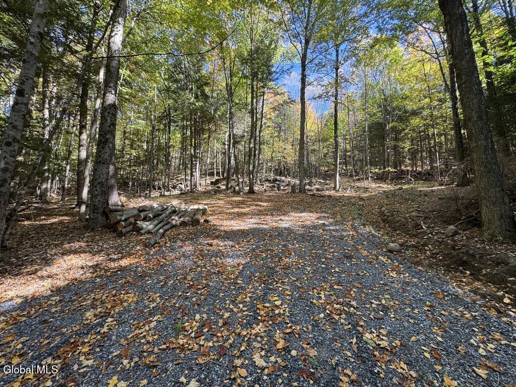 40 Constitution Way Kattskill Bay, NY 12844 - Photo 18 of 21 9D45BAA6-2248-4424-95CB-A0AA321DCCD4_1_1