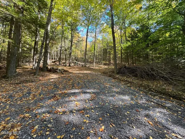 $1,350,000 | 40 Constitution Way, Kattskill Bay, NY 12844