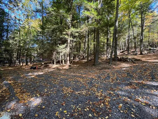 $1,350,000 | 40 Constitution Way, Kattskill Bay, NY 12844