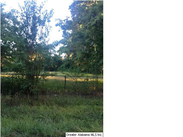 Stuart Drive Odenville, AL 35120 - Photo 3 of 3