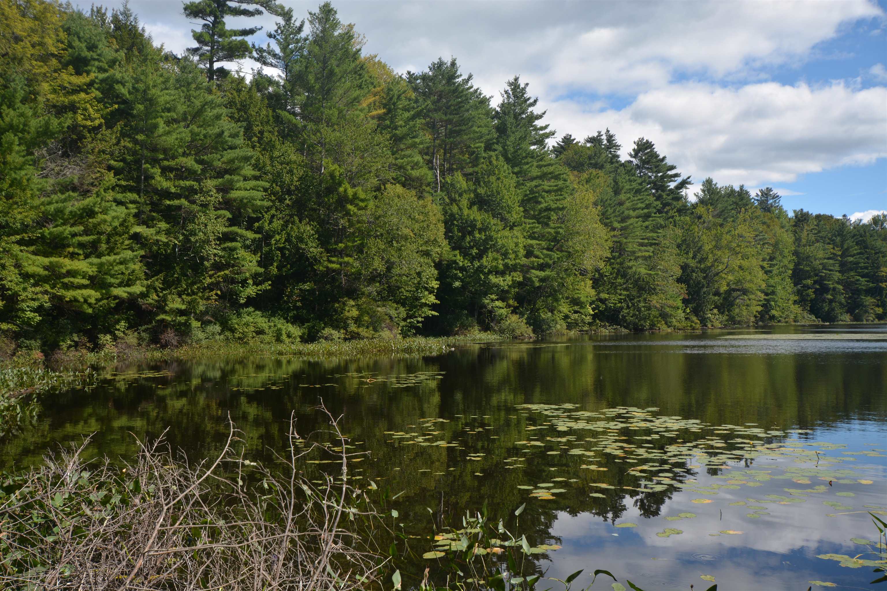 13 Forest Road Grantham, NH 03753 - Photo 8 of 47
