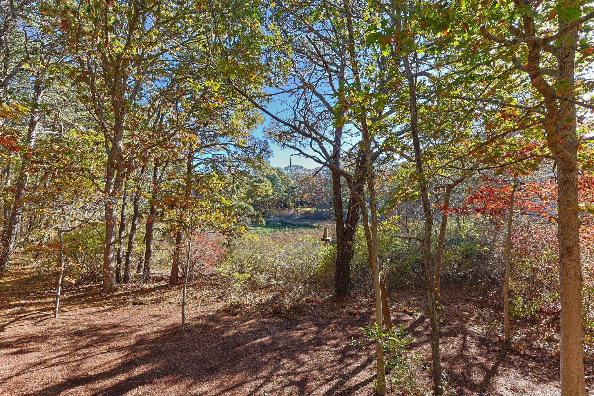 60 Briggs Field Road Eastham, MA 02642 - Photo 38 of 61 29-web-or-mls-60-briggs-field-rd