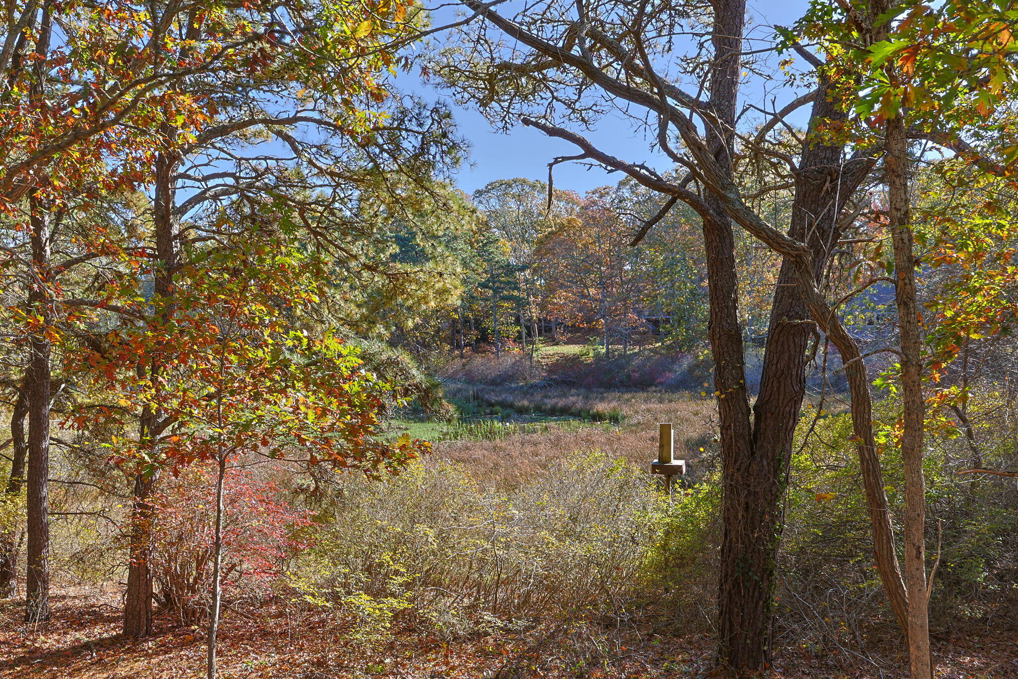 60 Briggs Field Road Eastham, MA 02642 - Photo 39 of 61 37-web-or-mls-60-briggs-field-rd