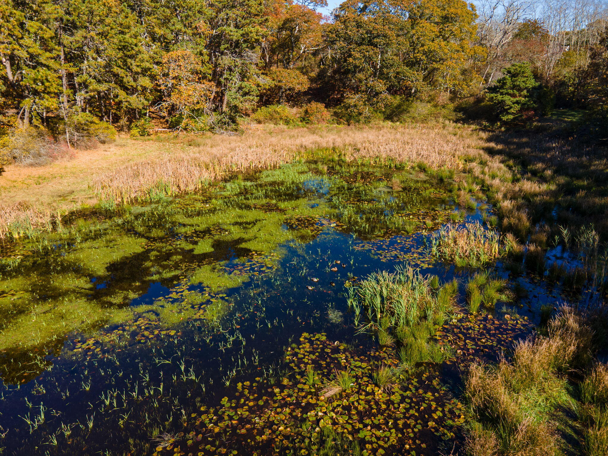 60 Briggs Field Road Eastham, MA 02642 - Photo 48 of 61 76-web-or-mls-60-briggs-field-rd