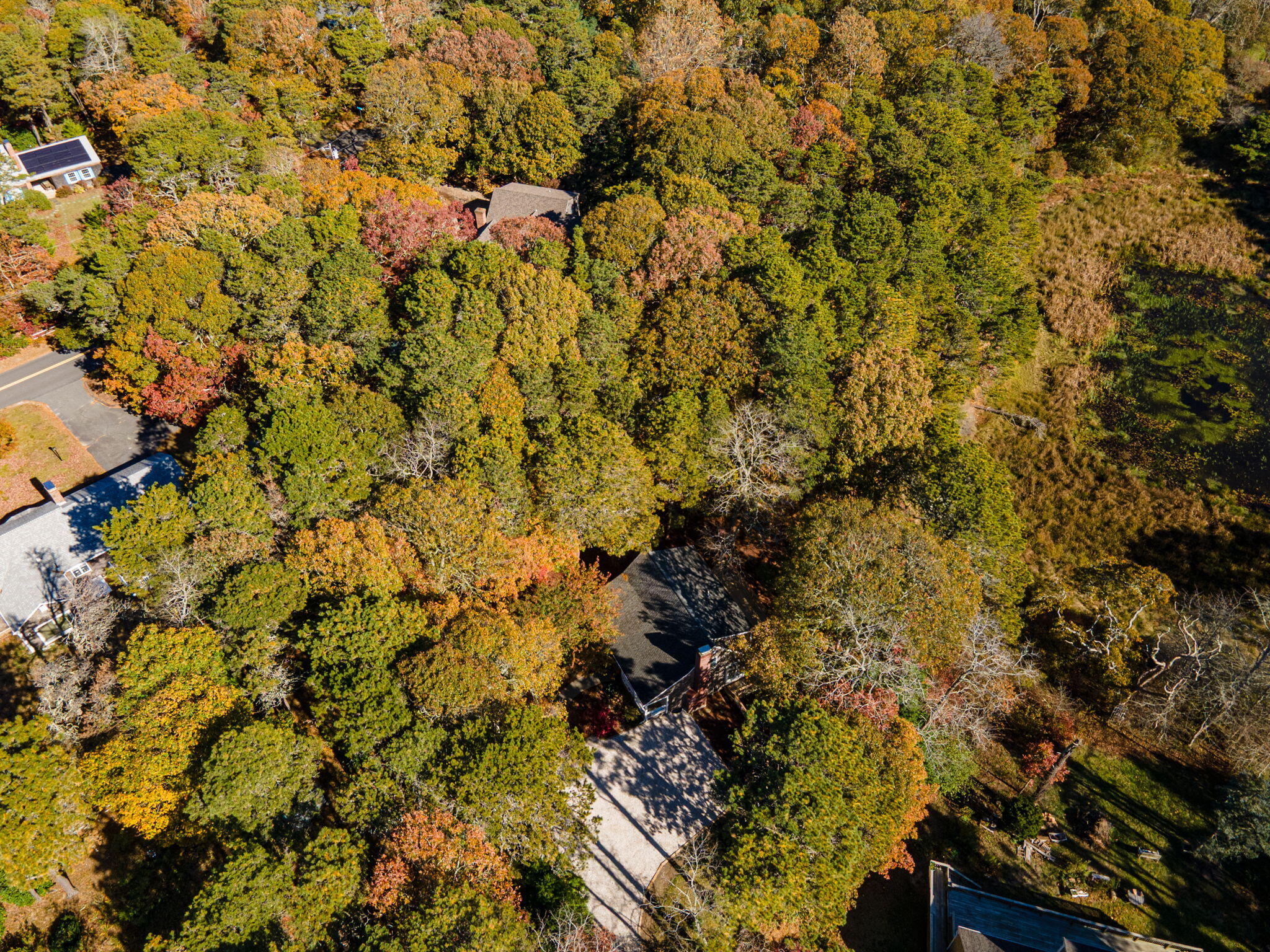 60 Briggs Field Road Eastham, MA 02642 - Photo 50 of 61 64-web-or-mls-60-briggs-field-rd