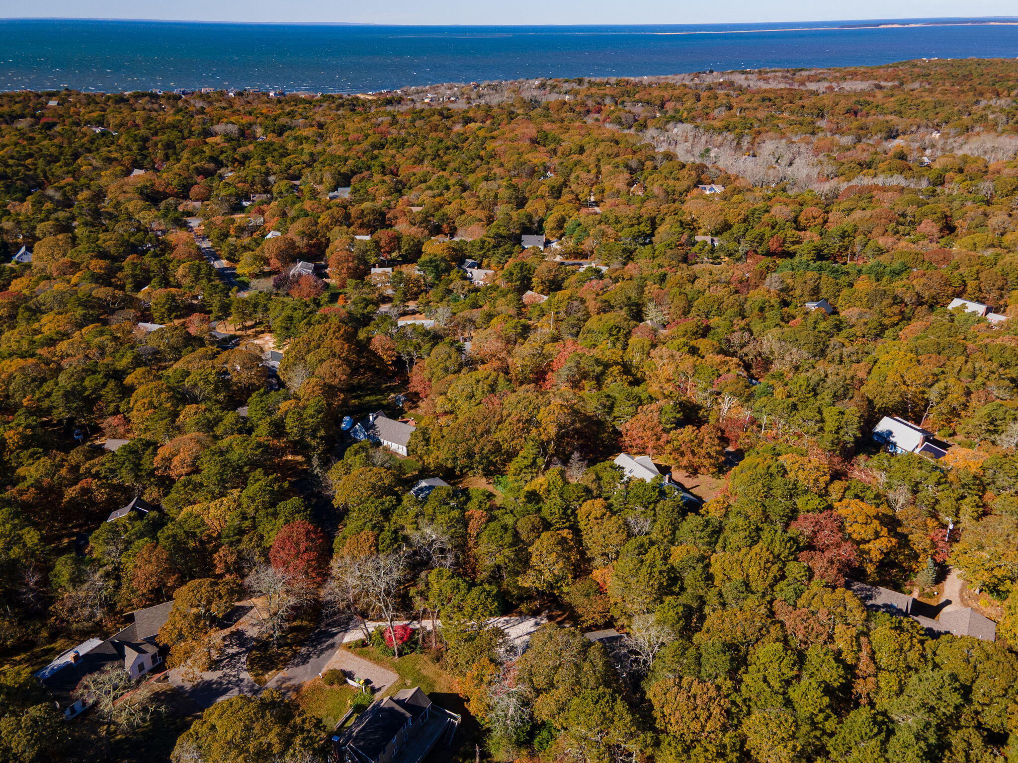 60 Briggs Field Road Eastham, MA 02642 - Photo 52 of 61 68-web-or-mls-60-briggs-field-rd