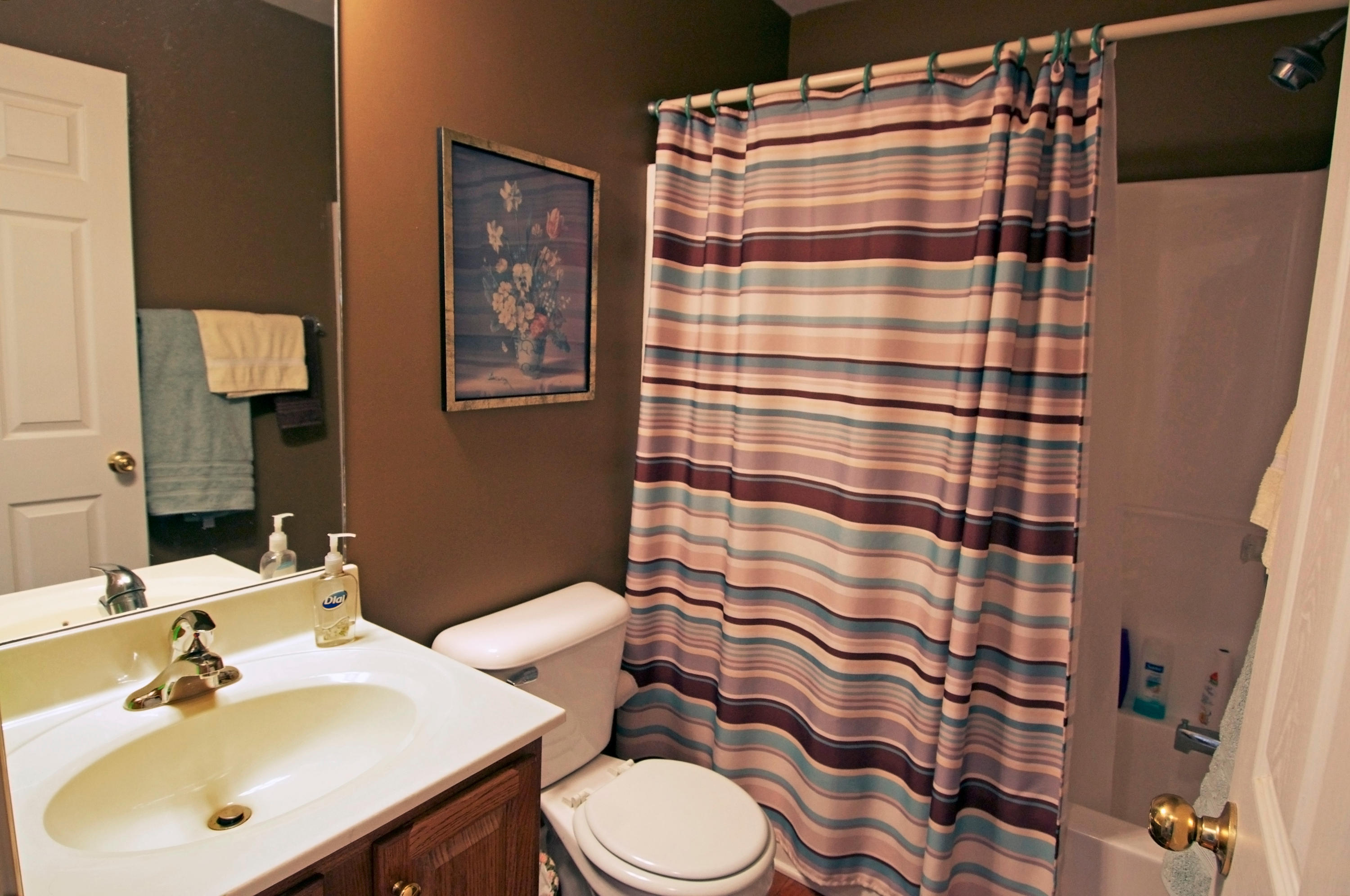 7612 Wilderness Path Road Corryton, TN 37721 - Photo 12 of 21 Hall bathroom
