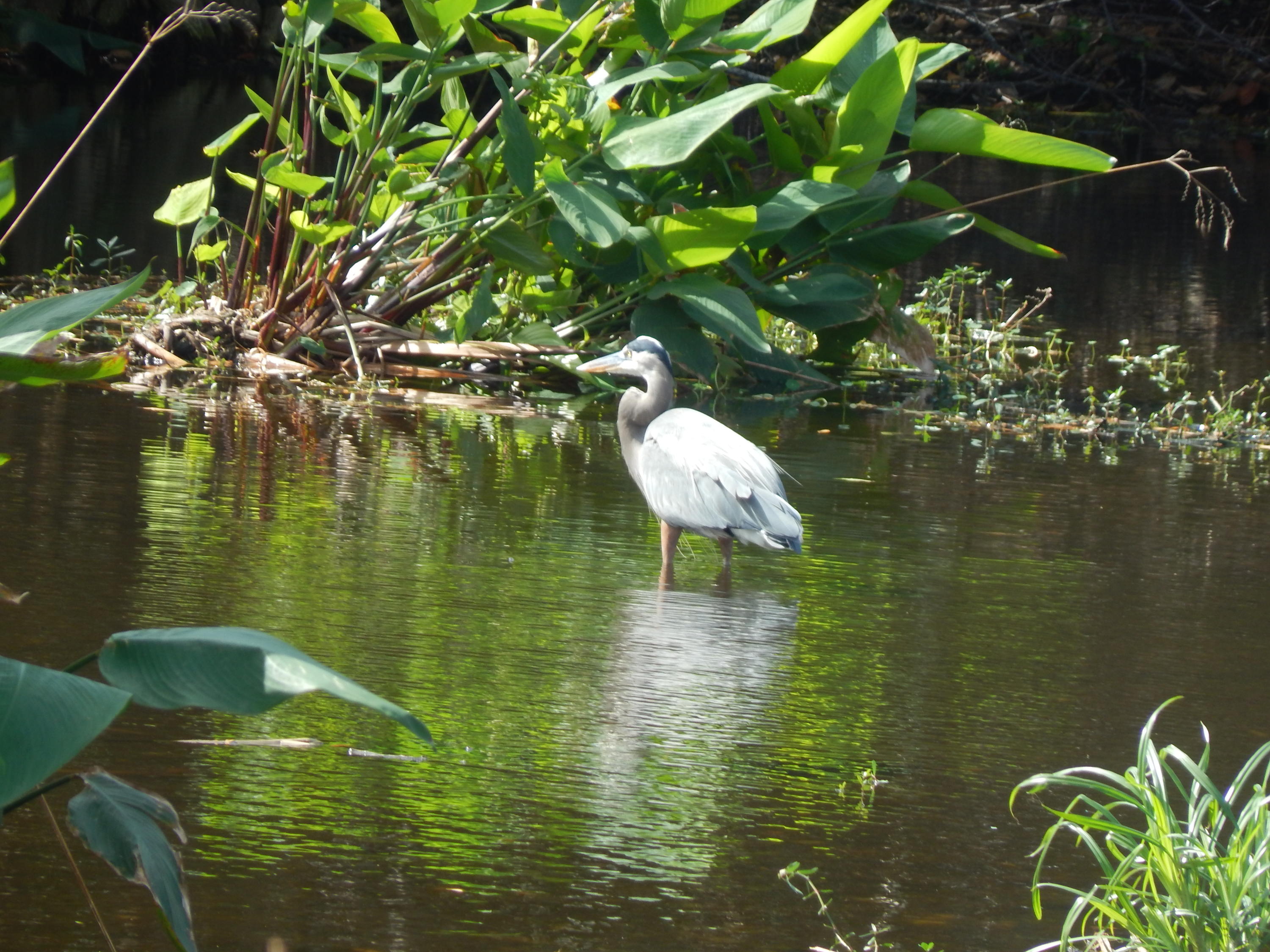 2847 Duke Lane Delray Beach, FL 33445 - Photo 46 of 50 Imperial Villas Delray Beach Florida