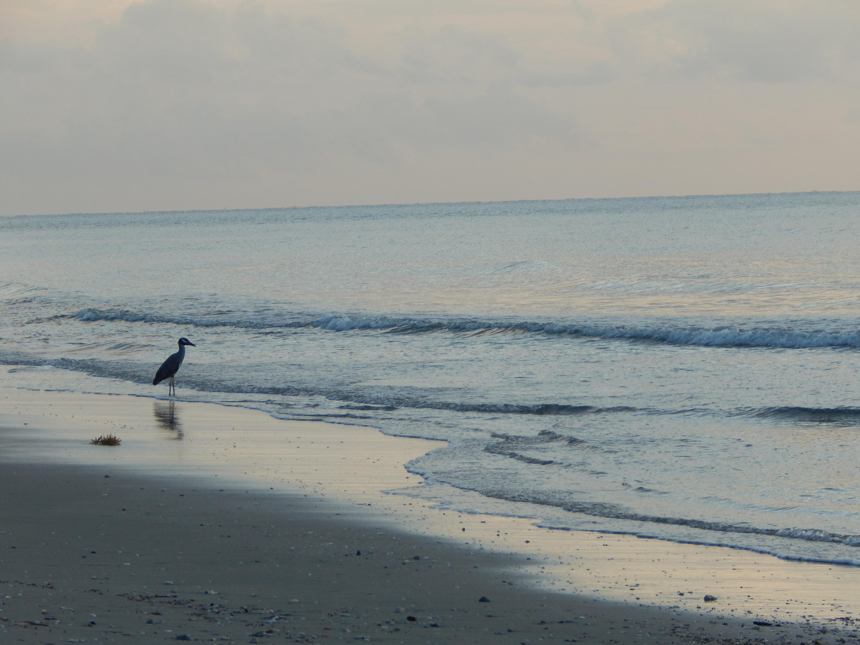 2847 Duke Lane Delray Beach, FL 33445 - Photo 50 of 50 Imperial Villas Delray Beach Florida