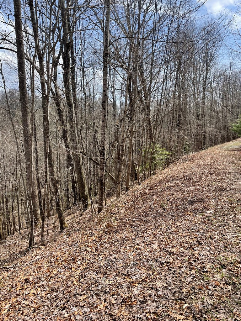 0 Hidden Lakes Road Topton, NC 28781 - Photo 12 of 14