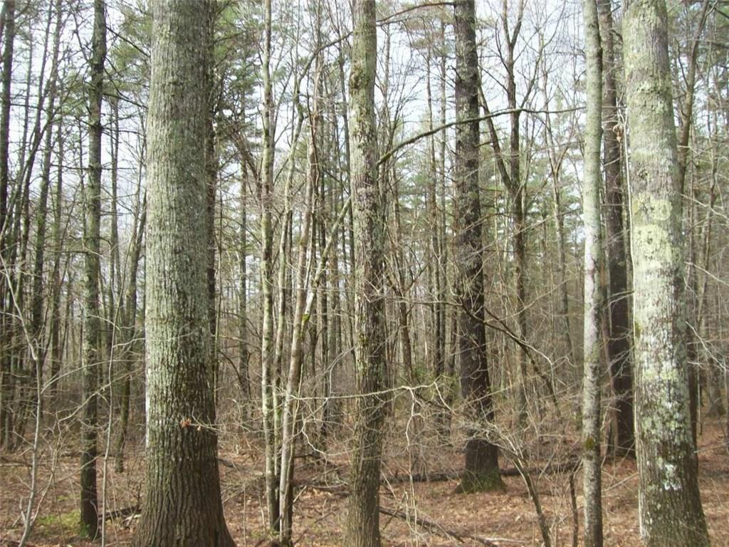 3 A Sennett Road Jefferson, ME 04348 - Photo 3 of 8 Photo