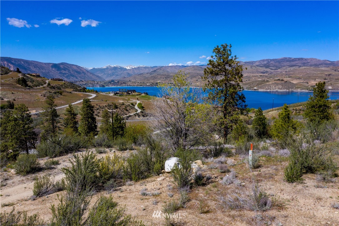 1 Hawks Meadow Road Chelan, WA 98816 - Photo 8 of 17 Gallery Image 8
