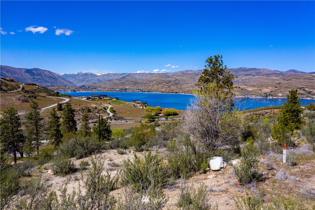 1 Hawks Meadow Road Chelan, WA 98816 - Photo 9 of 17 Gallery Image 9