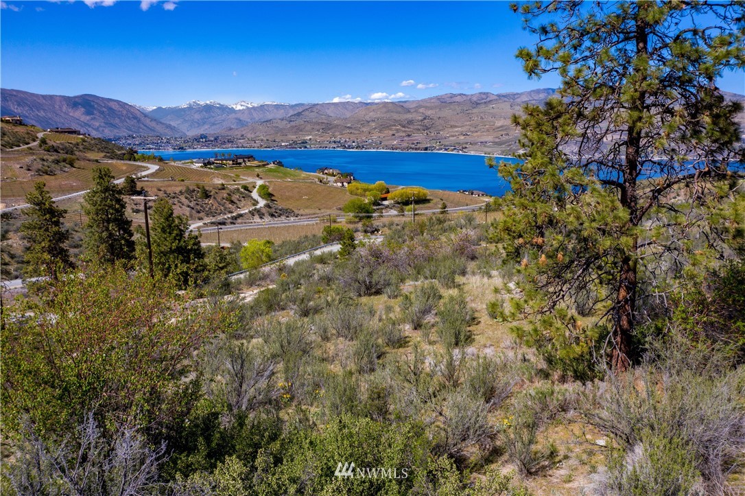1 Hawks Meadow Road Chelan, WA 98816 - Photo 10 of 17 Gallery Image 10