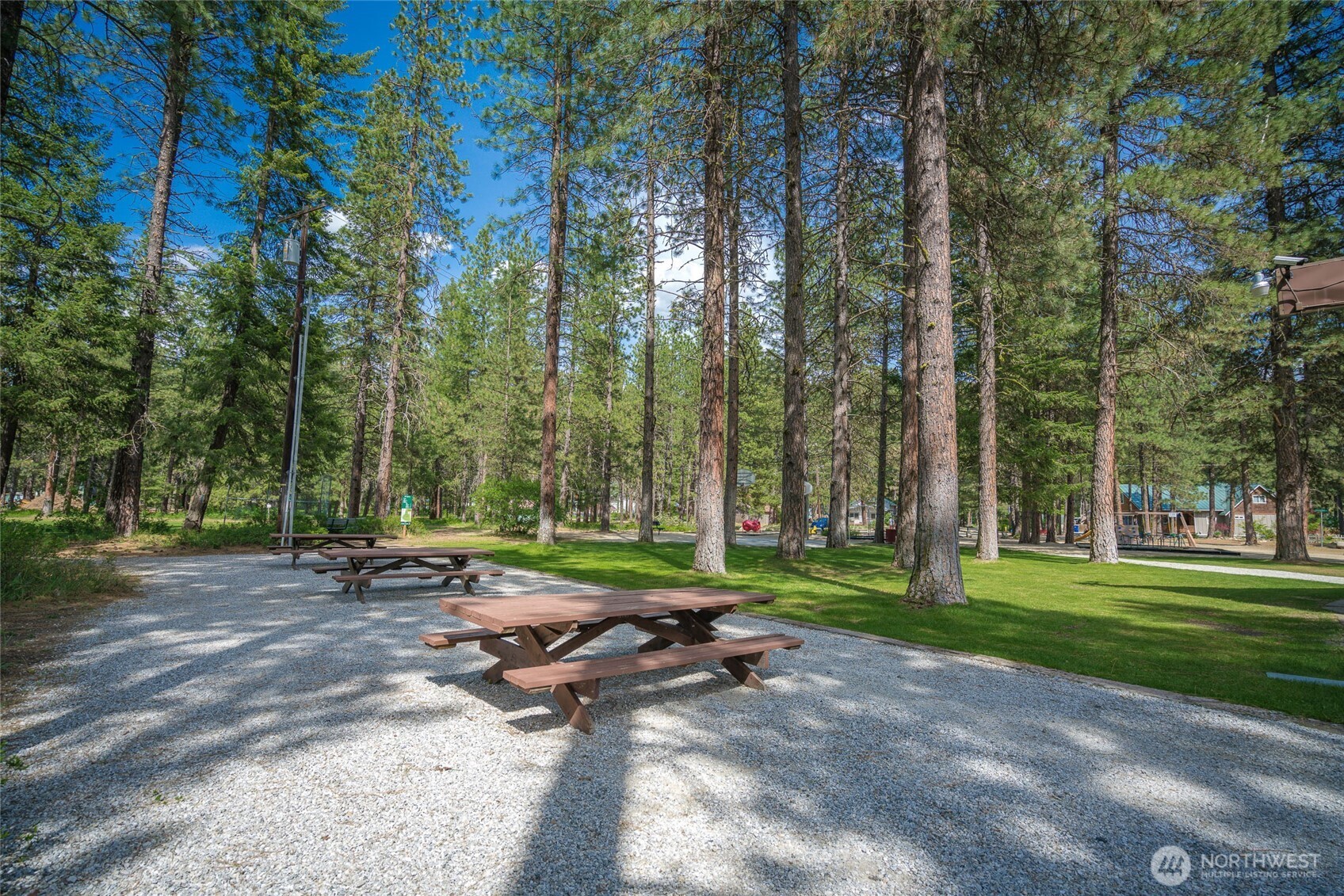 21512 Camp 12 Road Leavenworth, WA 98826 - Photo 39 of 40 a view of a park with large trees