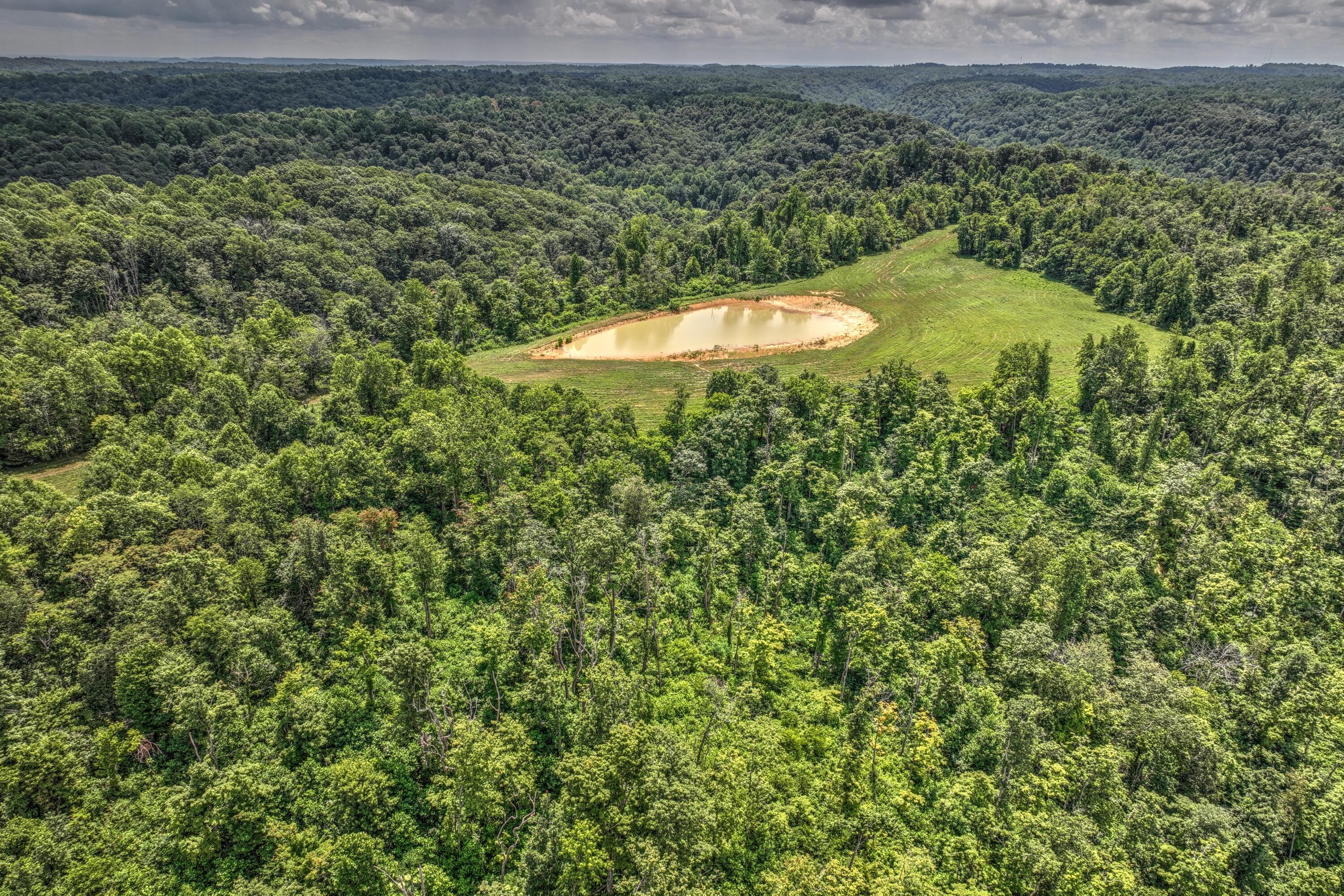 0 Tennessee Ridge Road Parksville, KY 40464 - Photo 2 of 3 Tenn Ridge 2