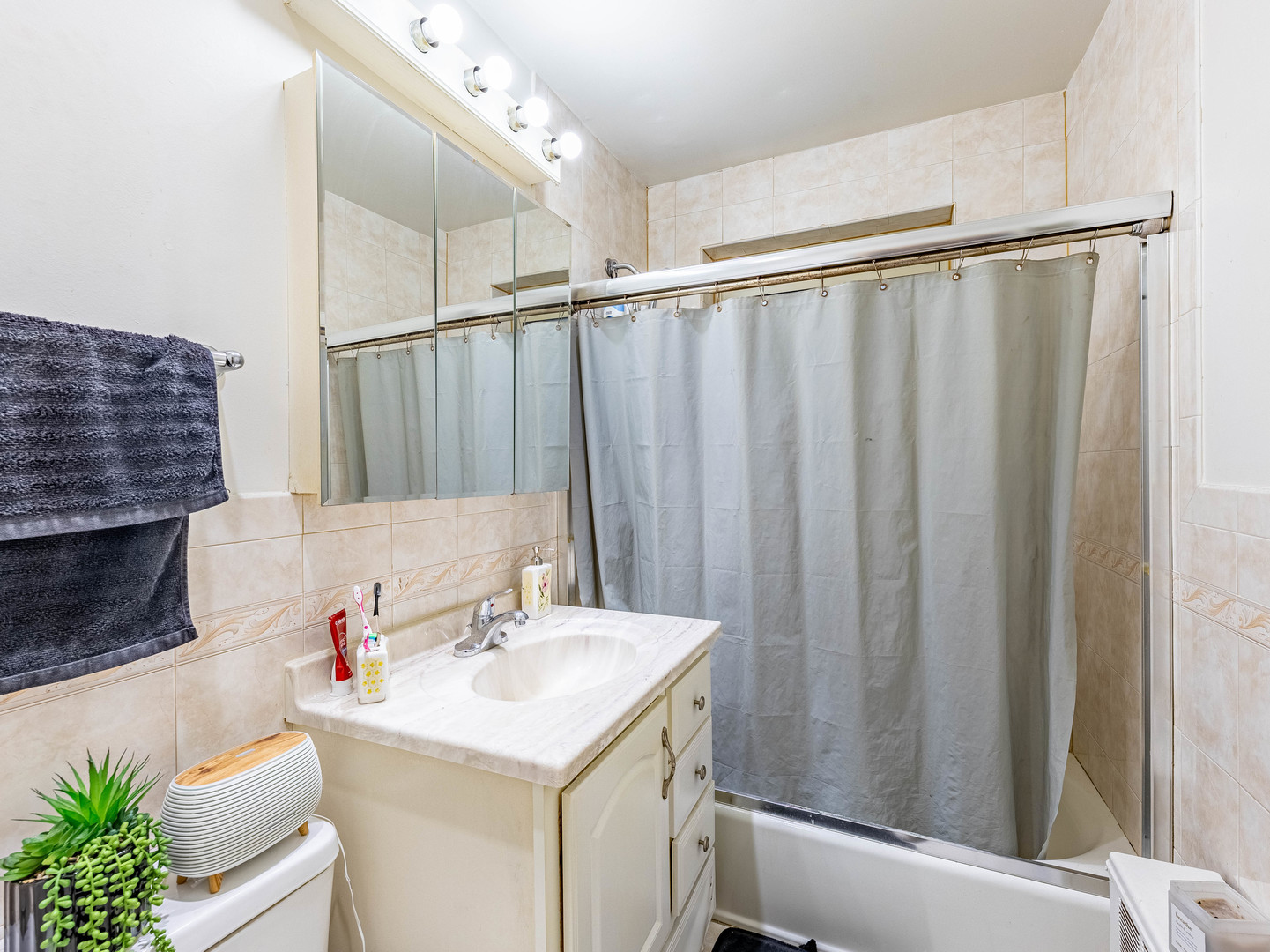 2205 West Highland Avenue, Unit 2N Chicago, IL 60659 - Photo 8 of 12
