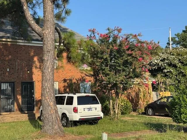 a white house covered with tall trees